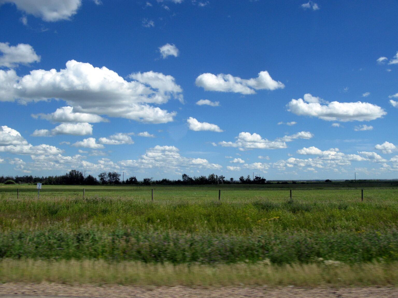 11 Places Where You Can Still Find Wild Wolves in Canada