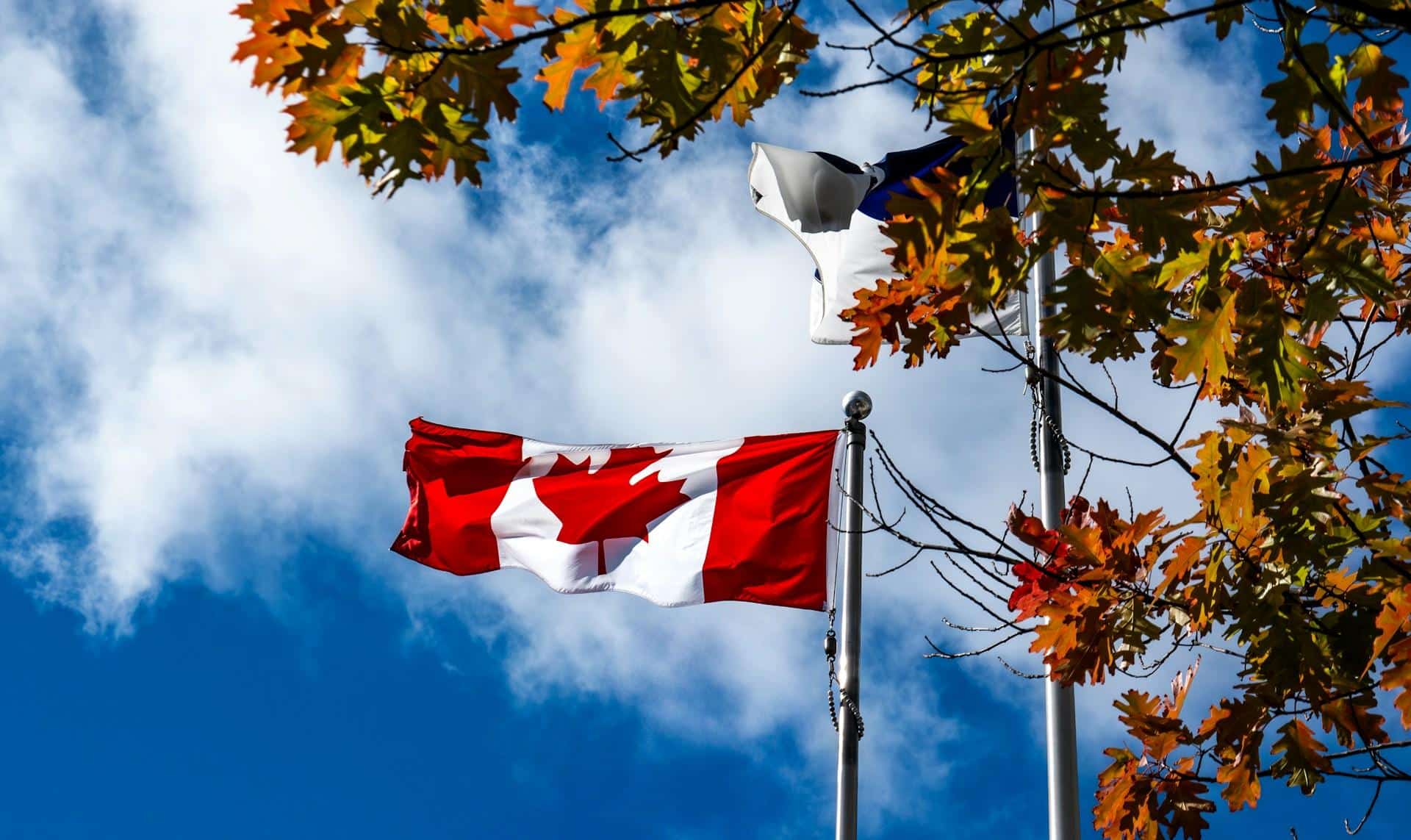 Where to go for the most spectacular fall colours in Canada